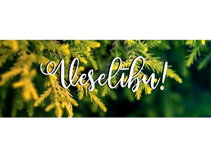 Mini piena šokolāde ''Veselību!''